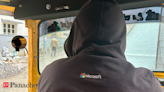 Can driving an auto-rickshaw combat loneliness? Bengaluru's Microsoft techie thinks so - The Economic Times