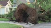 Severe storm causes damage across Newton