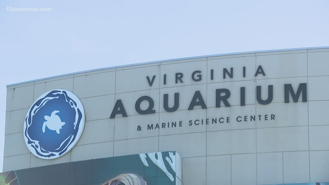 Virginia Beach City Council wants further financial review of Virginia Aquarium