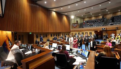 Arizona House primaries: Valley Democrats Mendez, Lucking face upset bids