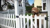 Does home insurance cover fences?