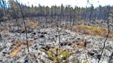 Wind fuels spread of Shelburne County fire as evacuation area grows