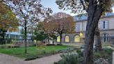 Sensory Garden Opens in Paris