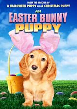 An Easter Bunny Puppy (2013) - IMDb