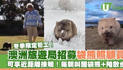 澳洲旅遊局招募冬季袋熊照顧員 可享近距離接觸機會！早上叫醒袋熊兼陪散步 | U Travel 旅遊資訊網站