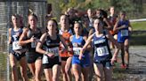 Gates Chili senior Pellegrino's run for redemption at cross country Federations