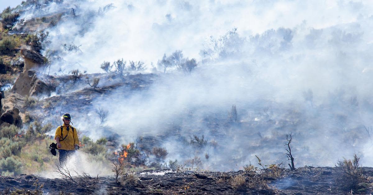 Wildfire Preparedness Day: Are you ready?