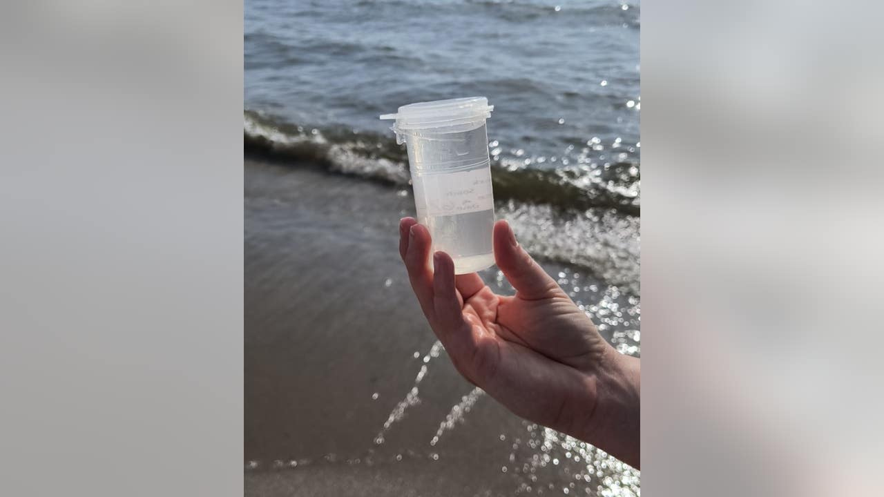 Lake Erie beach water testing resumes by Monroe County Health Department