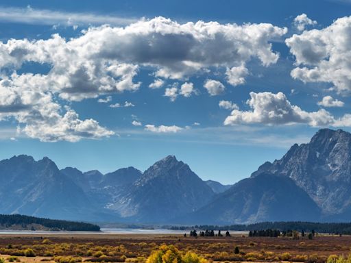 Grizzly bear attack prompts closure of a mountain in Grand Teton in Wyoming