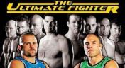 13. The Ultimate Fighter: The Ultimate Finale