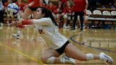 Party like it's '99: Milan volleyball tops Dundee for first District title in 23 years