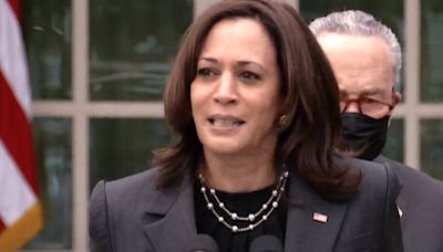 Arizona Democratic Party officially pledges support to Harris; delegates still up in the air