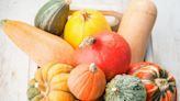 20 Different Types of Squash and How to Use Them