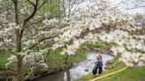 Campus River Cleanup at Indiana University tests pH levels, looks for macroinvertebrates