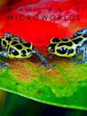 Nature's Microworlds