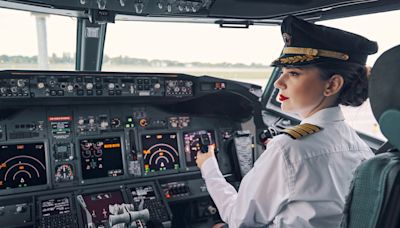 Passengers cheer as pilot announces there are special guests on board