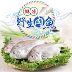 (任選)愛上海鮮-鮮凍野生肉魚1包(180g±10%/包/兩尾一包)