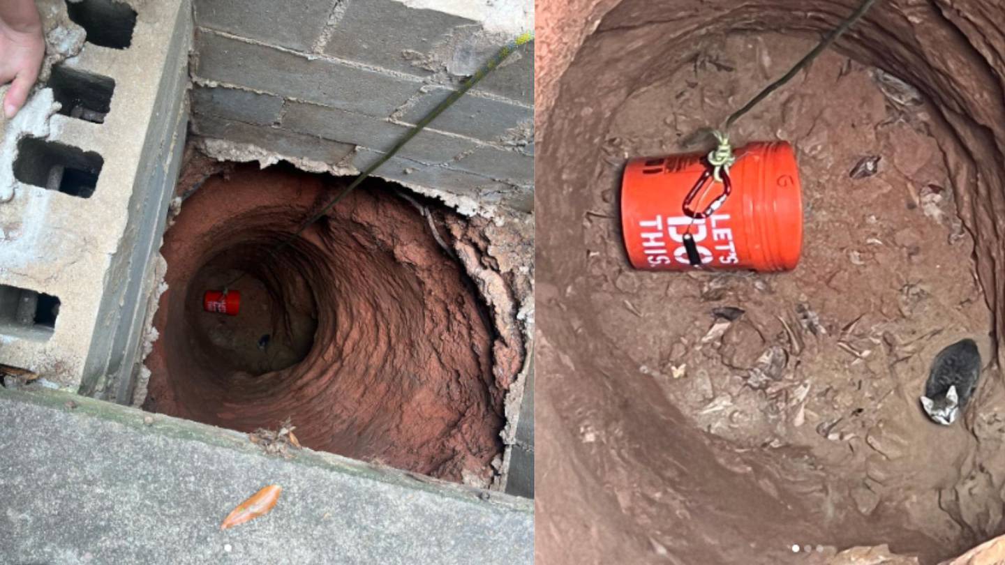 Cobb County Fire Department saves multiple kittens trapped in 30ft well