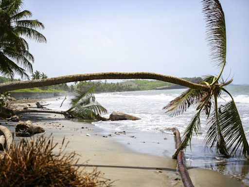 Canadians in Grenada and Montreal rally to help after hurricane Beryl devastation