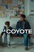 Le coyote