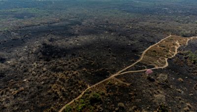 Incendios en Amazonía brasileña se disparan en noviembre doblando los de 2021
