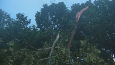 Tornado damages buildings, shreds trees in New Castle County; Chester County pounded by heavy rain