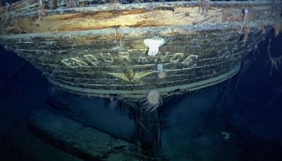 Protected zone around Shackleton's Endurance extended