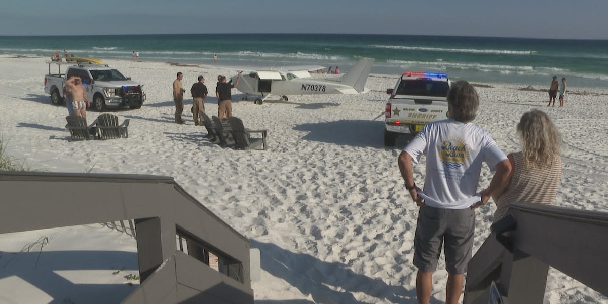 “It was very surreal”: Eyewitnesses describe the moment a plane landed on beach