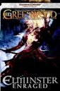 Elminster Enraged (The Sage of Shadowdale, Book #3)