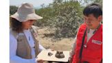 Chiclayo: detectan reciente afectación en sitos arqueológicos Mata Indio y Cerro Corbacho