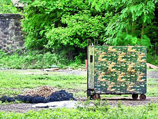 Leopard leaves city after evading capture | Aurangabad News - Times of India
