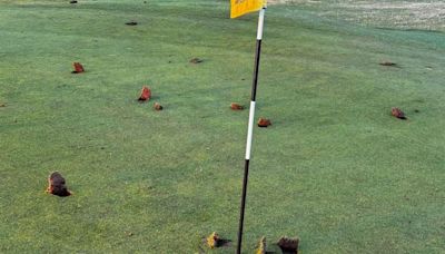 Golfers furious after 'scumbag' vandals trash Prestwick course