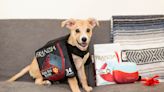 Franzia Collaborates with Dog Brand to Create a Boxed Wine Halloween Costume for Canines