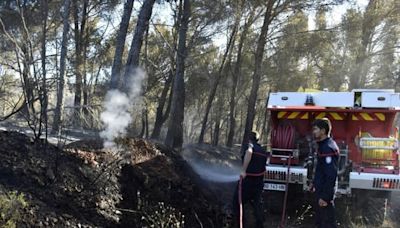 Incendies: plusieurs départs de feu recensés dans les Pyrénées-Orientales ce samedi