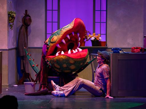 Review: Three days left to see 'Little Shop of Horrors' showing in Falmouth or Cotuit