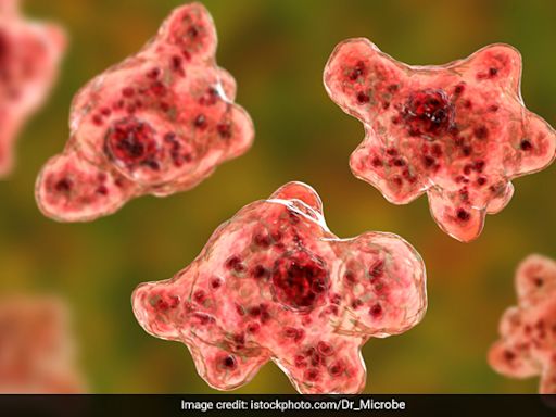 Brain-Eating Amoeba In Kerala: Latest News, Signs, Treatment, Prevention & More