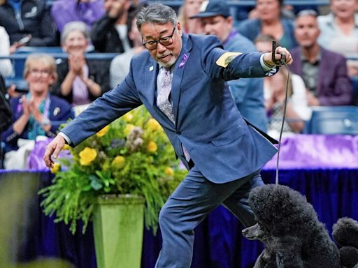 Kaz Hosaka, 65, Dies; Led Two Poodles to Westminster Glory