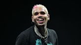 Internet Has Mixed Reactions to Viral Video of Chris Brown Throwing Fan's Phone Into Crowd