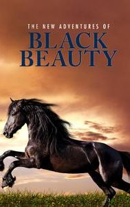 The New Adventures of Black Beauty