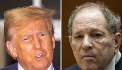 Donald Trump's testimony hinges on Harvey Weinstein appeal: Attorney