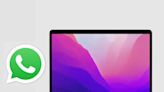 WhatsApp Will Stop Working If You Are Using This Old MacOS App: What Should You Do? - News18