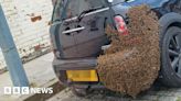 Swarm of bees lands on car parked on Middlesbrough street