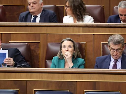 El PP lleva al Congreso una moción pidiendo al Gobierno que cese la presión sobre jueces y respete la libertad de prensa