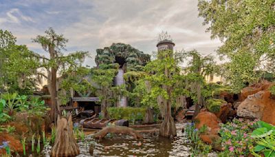 Tiana's Bayou Adventure ride at Walt Disney World has an opening date — what to know