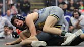 Livingston County puts 8 wrestlers in state championship matches
