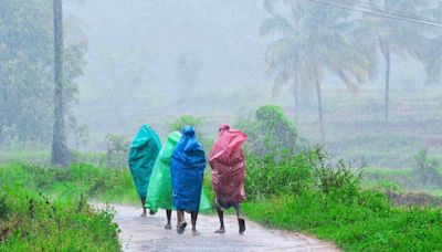 India receives 8 pc more monsoon rains, highest since 2020; good news for agricultural economy