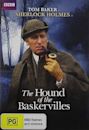 The Hound of the Baskervilles