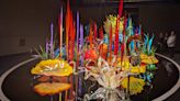 'Chihuly at Biltmore' art exhibit opens with glass chandeliers, more at historic estate