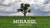 “MIRASOL” documentary premieres May 21 in Colorado Springs