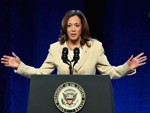 Kamala Harris team considers ‘white man’ VP for presidential run